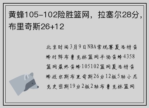 黄蜂105-102险胜篮网，拉塞尔28分，布里奇斯26+12