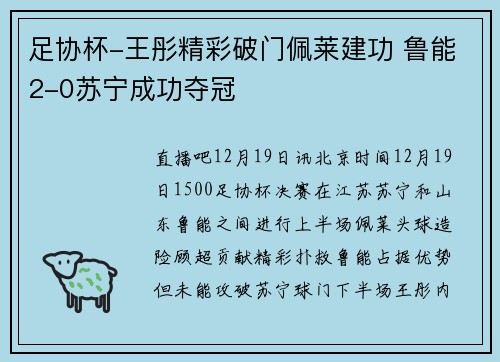 足协杯-王彤精彩破门佩莱建功 鲁能2-0苏宁成功夺冠